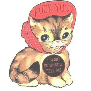 Meet your Posher, Jon